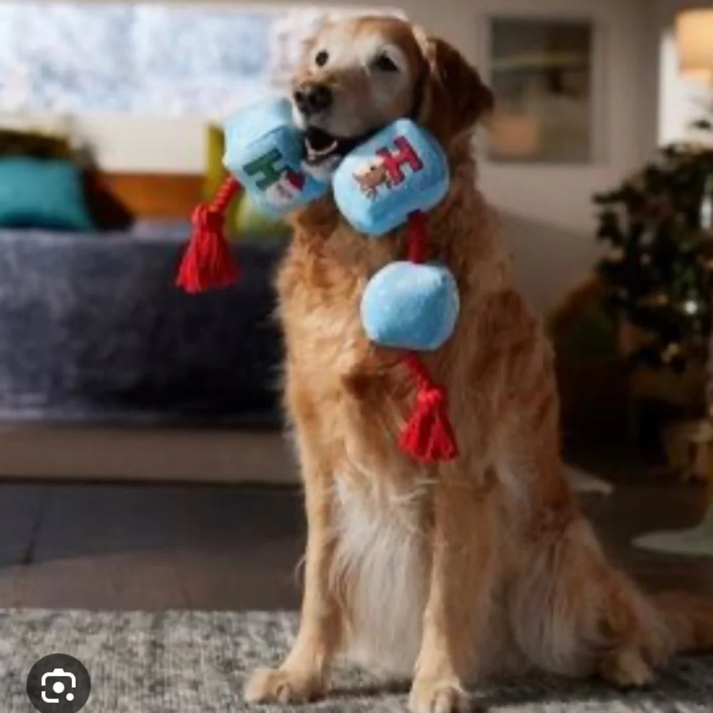 New Frisco Ho Ho Ho Holiday Plush with rope squeaky dog toy size medium